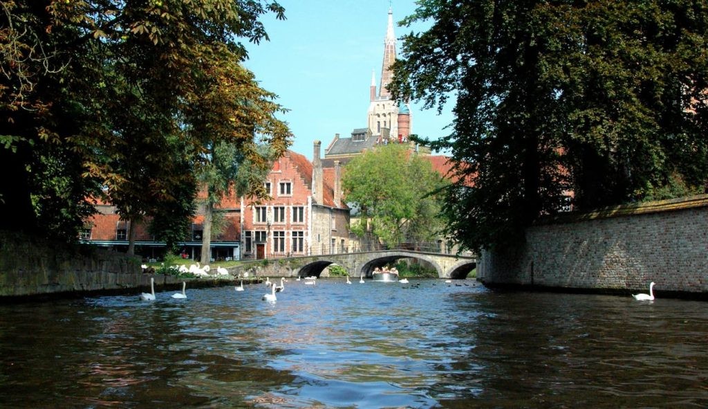 Canal with swans and church spire behind trees in Bruges