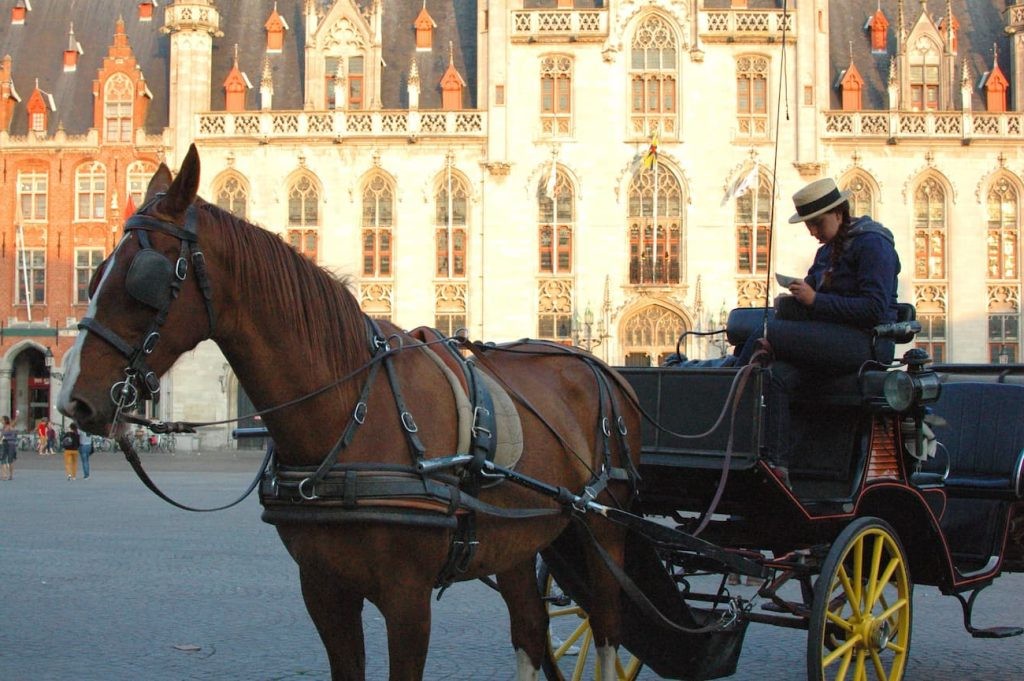 Horse-drawn carriage passing colorful guild houses on Markt Square