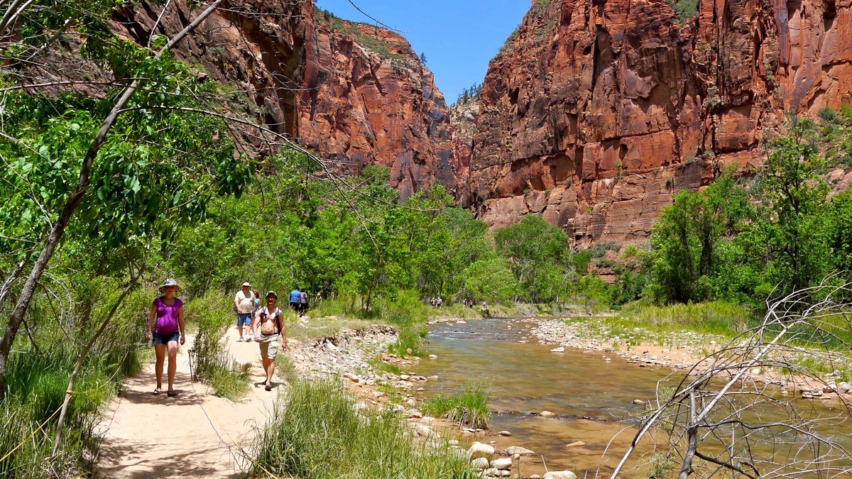 Busy trail with hikers in Zion National Park