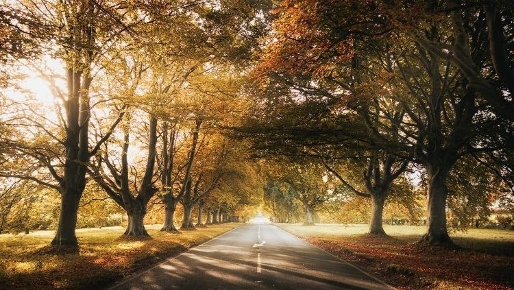 Open road for a solo road trip